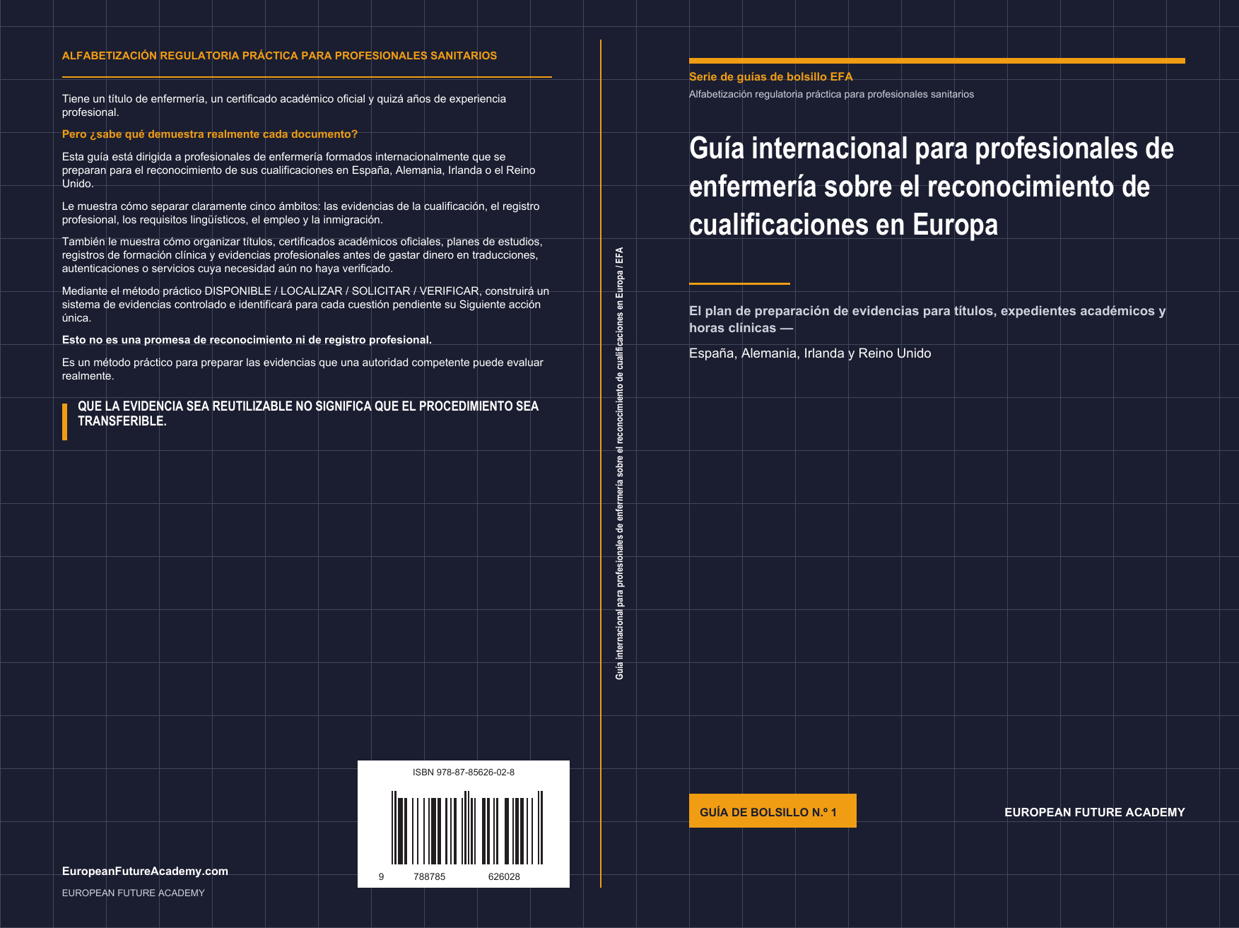 Guía internacional para profesionales de enfermería sobre el reconocimiento de cualificaciones en Europa